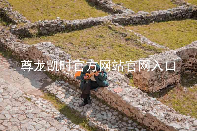 尊龙凯时官方网站官网入口