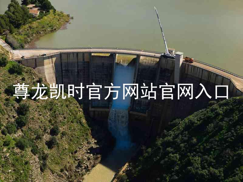 尊龙凯时官方网站官网入口